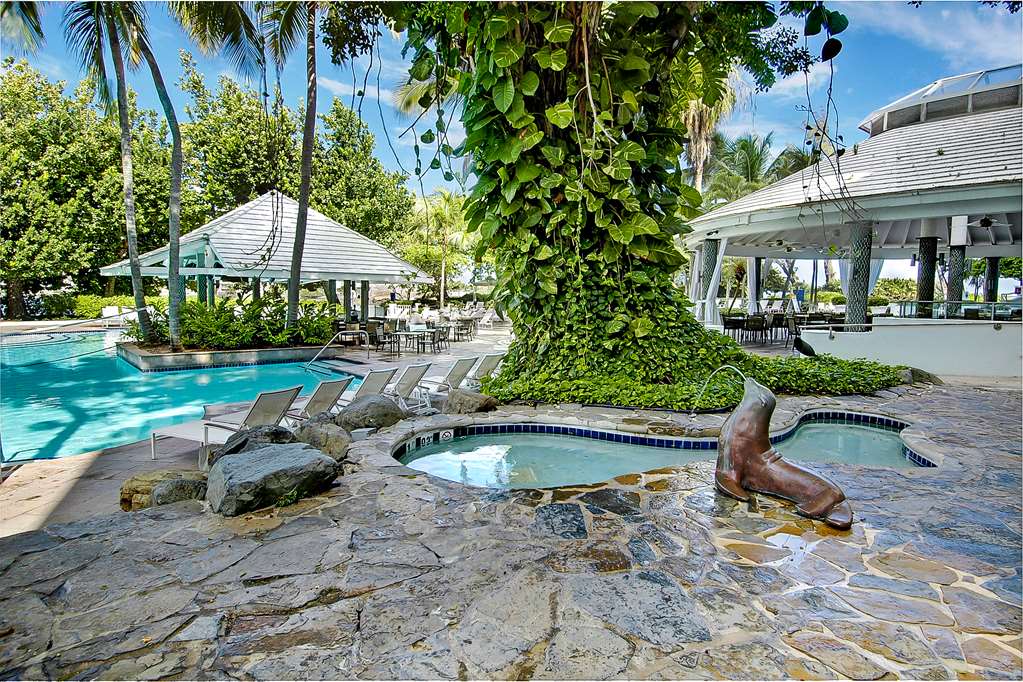 Фото The Condado Plaza Hilton