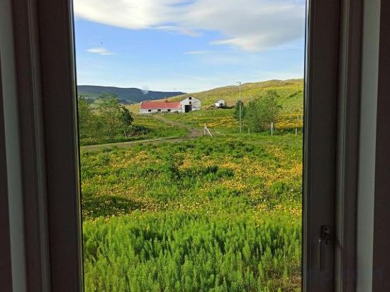 Фото Engimýri Lodge