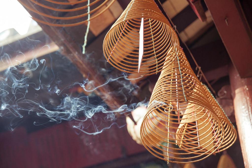 Фото Red Rose Villa Hoi An