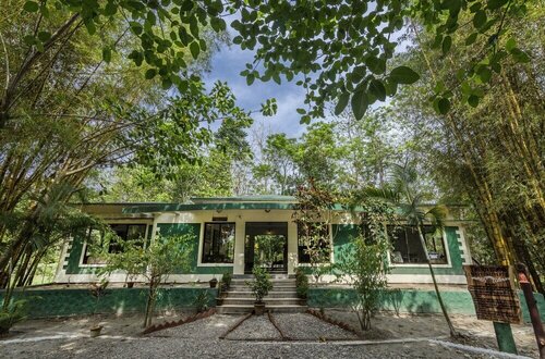 Гостиница The Riverwood Forest Retreat - Dooars в Западной Бенгалии