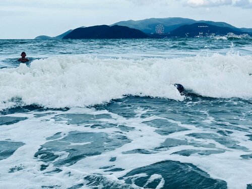 Внешний вид отеля Navy Nha Trang в Нячанге, фото 3