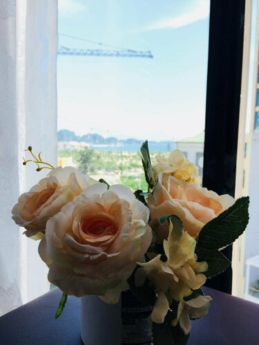 Гостиница Ivy Hotel - Ha Long в Провинции Куангнинь