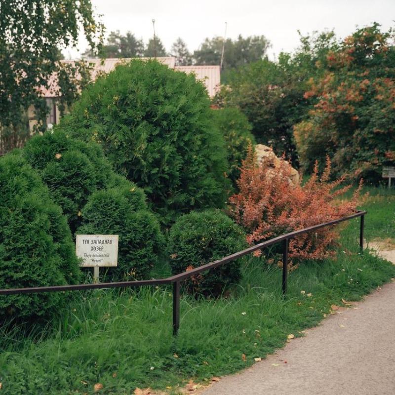 Фото Отель Парк Птиц