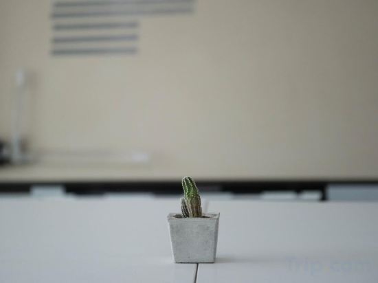 Фото Veethara Boutique Hotel