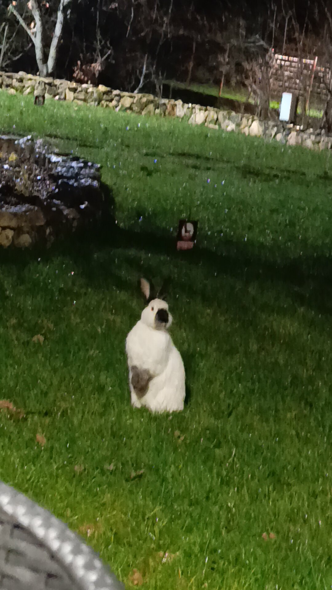 Фото Чаиръ сад в горах