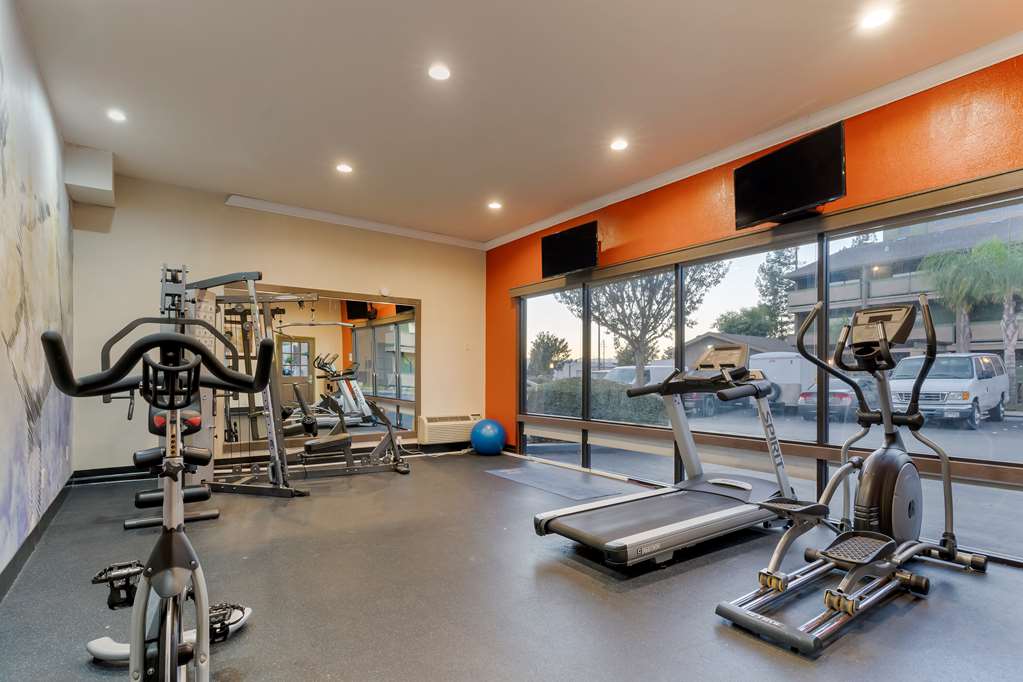 Фото Best Western Plus Forest Park Inn