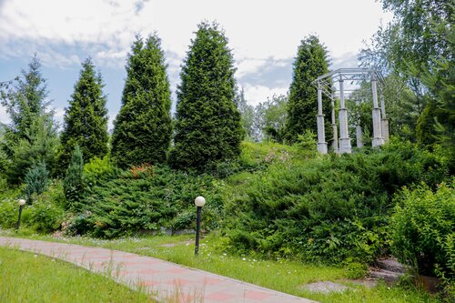 Ревиталь Парк  фото 4