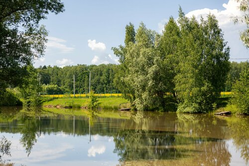 Премудрый Карась — фото 3
