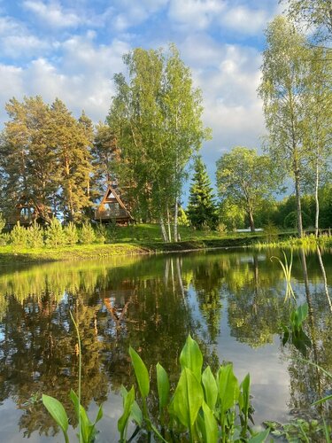 Дом под соснами — фото 5