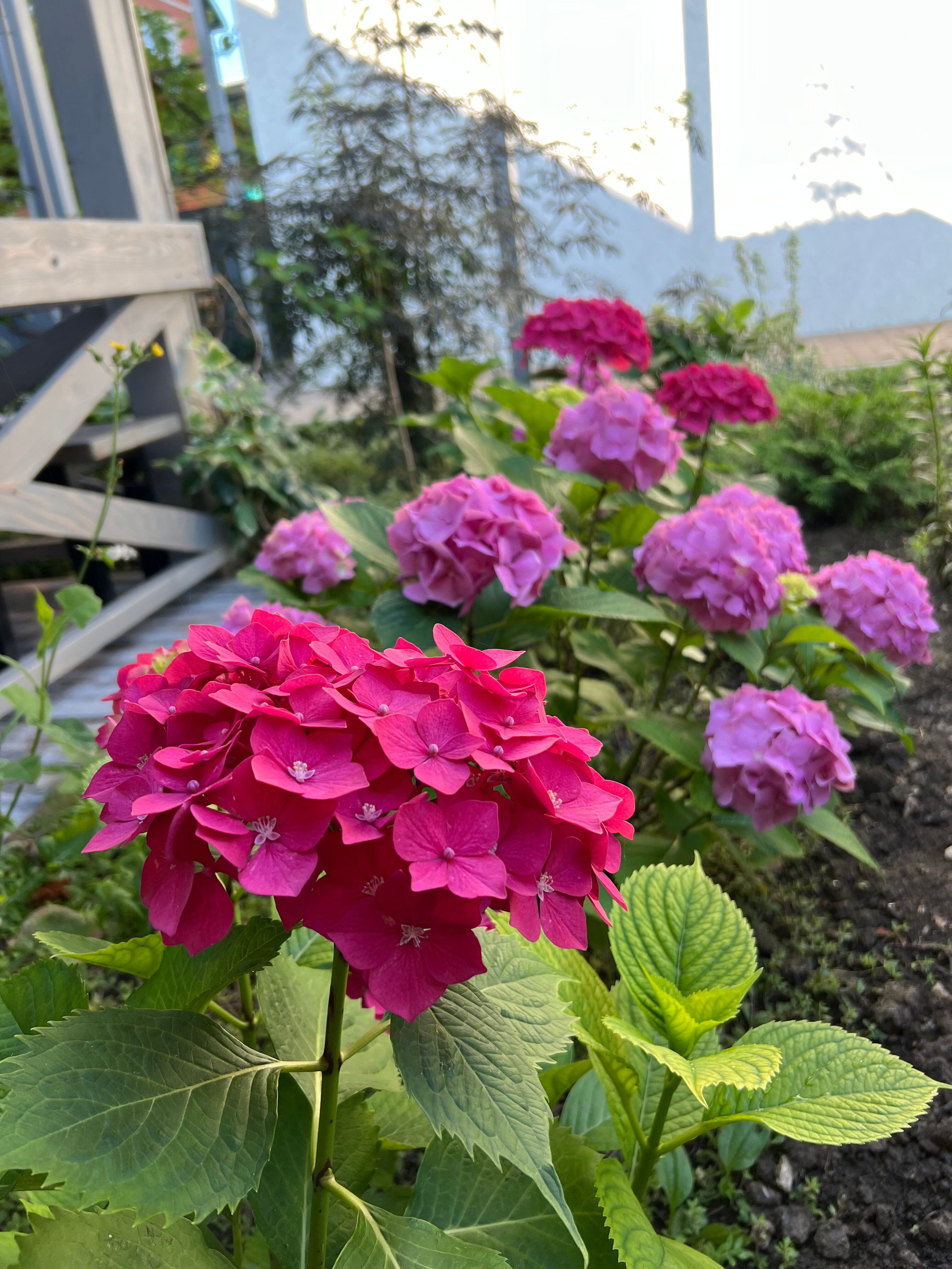 Фото Солнце