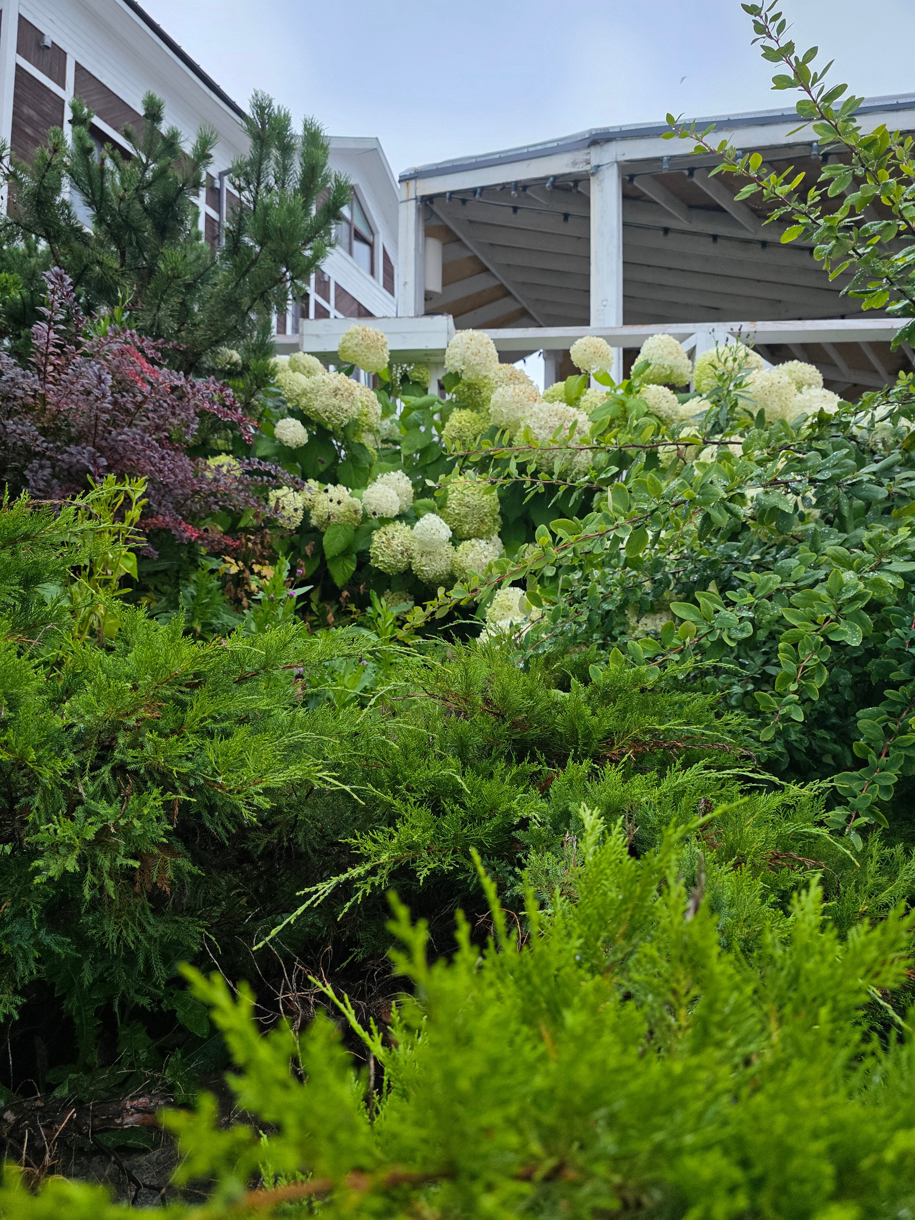 Фото Wardenclyffe Volgo-Balt