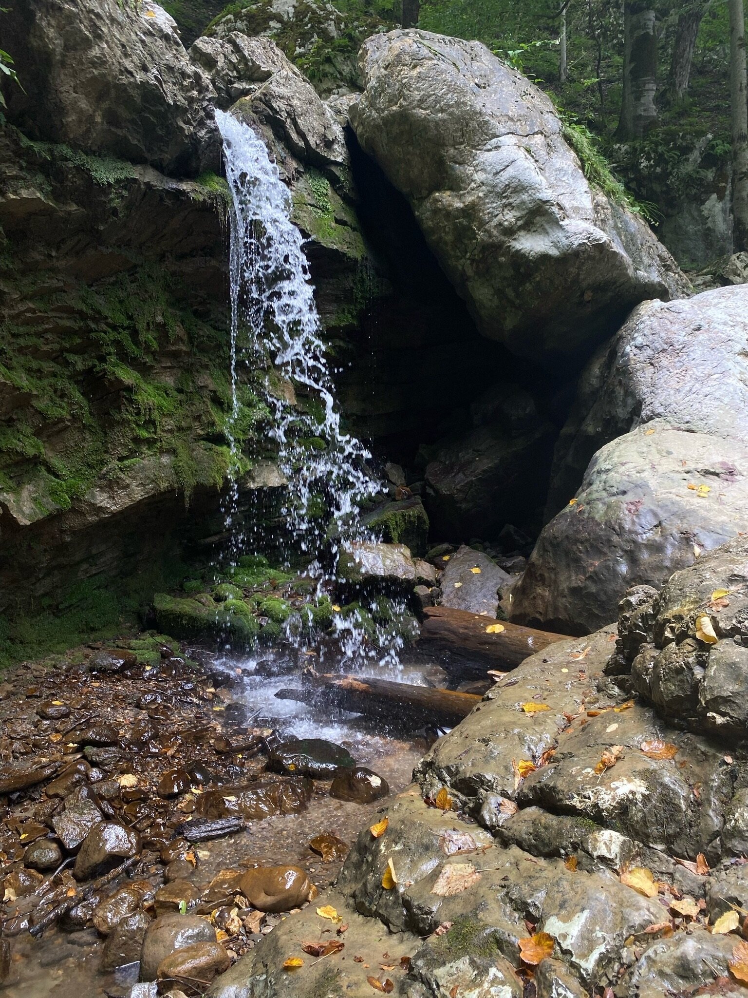 Фото Бурный