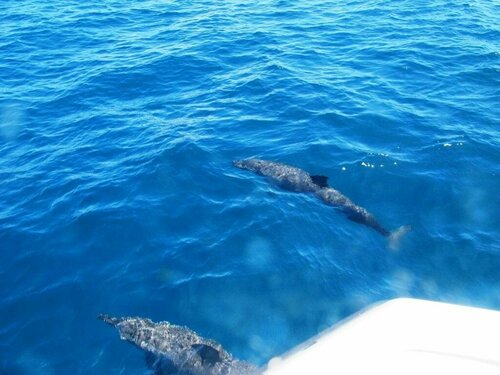 Гостиница Binucot Beach Resort в Провинции Ромблон