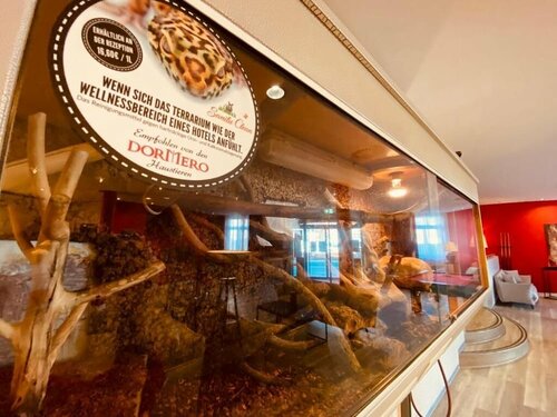 Гостиница Dormero Hotel Dresden City в Дрездене