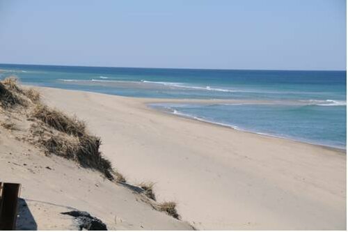 Гостиница Cape Cod Harbor House Inn в Гианнисе