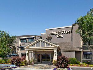 Гостиница Maple Tree Inn