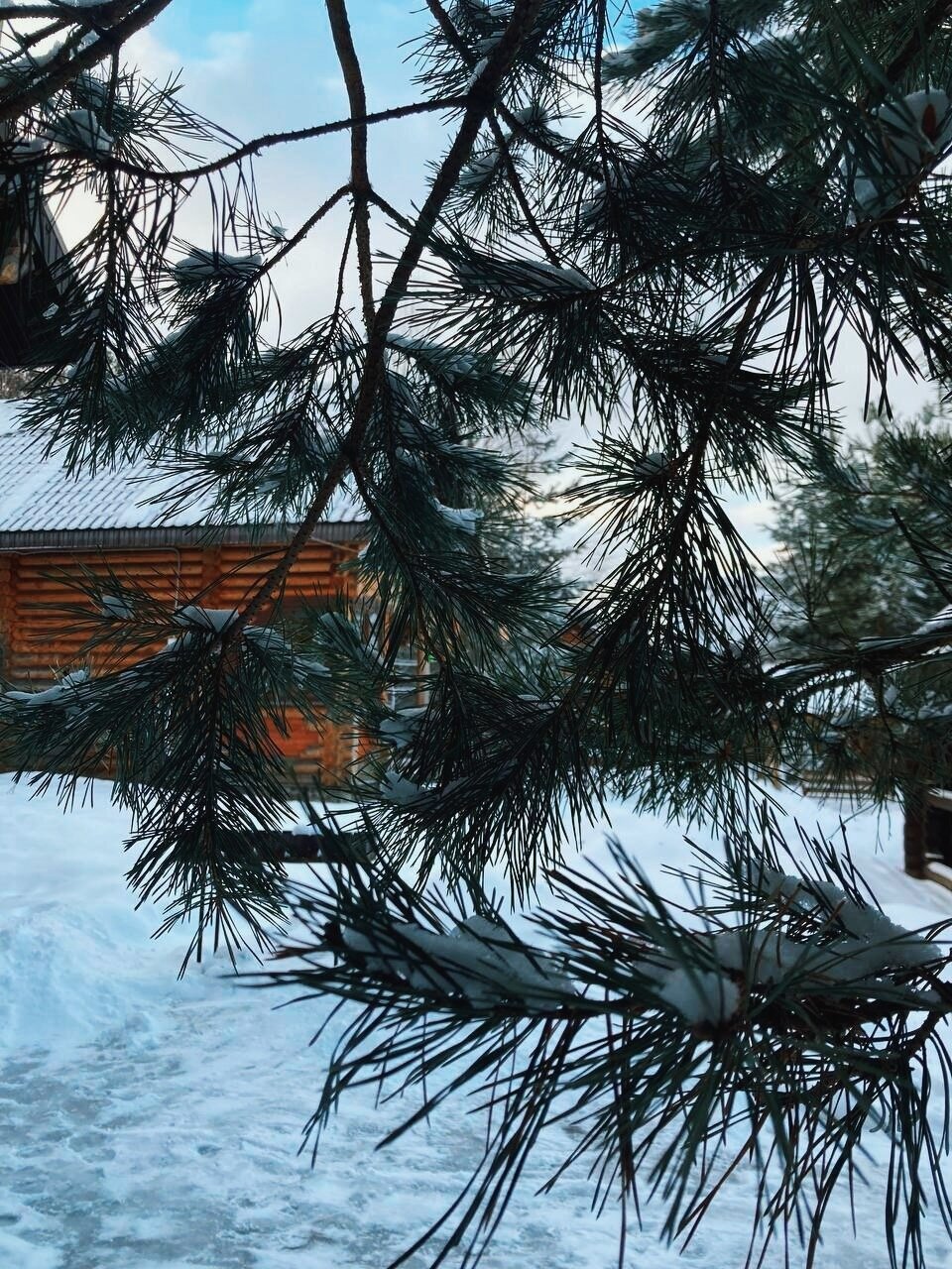 Фото Экопарк Лесной ключ