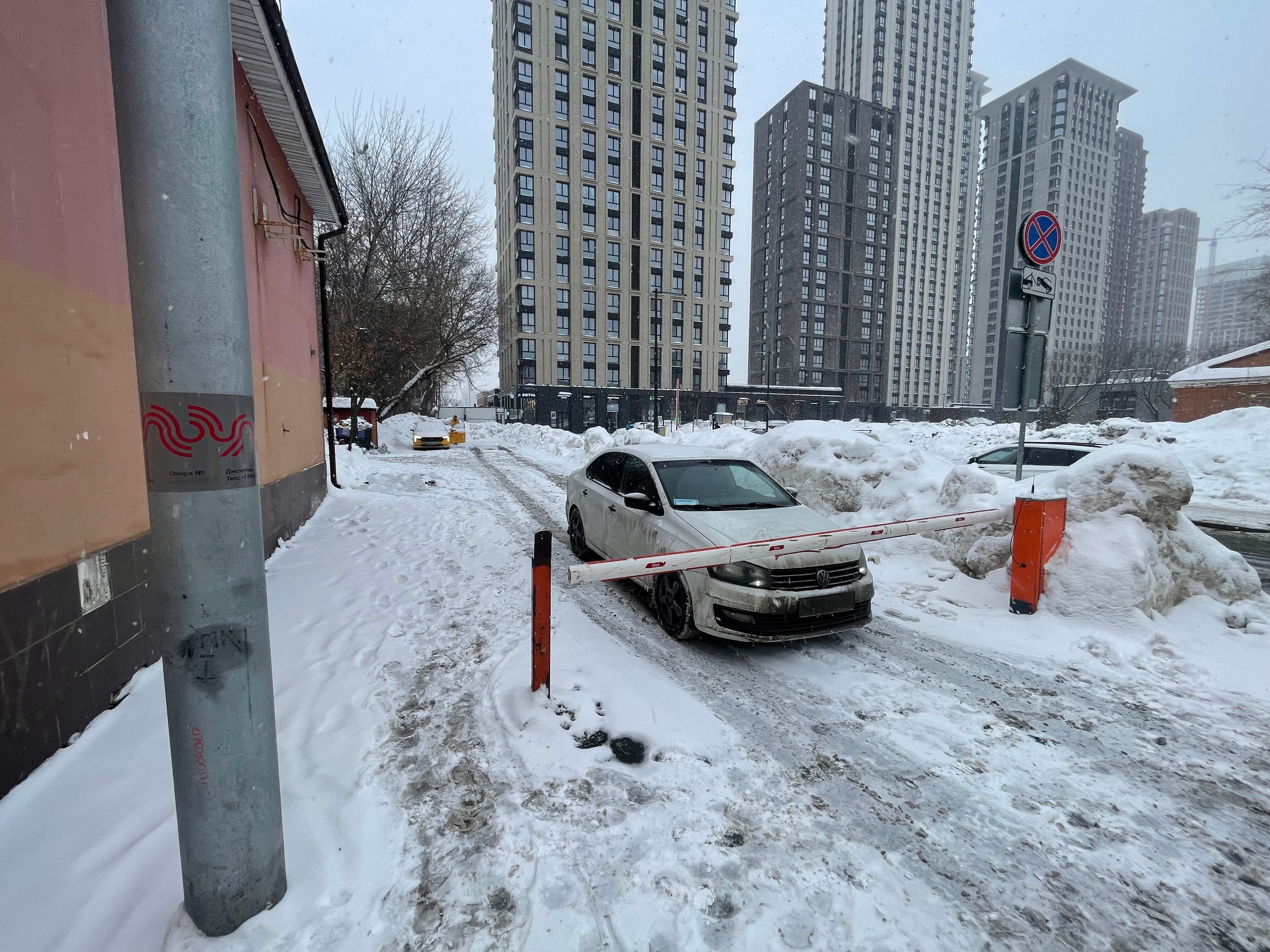 Фото Кеды