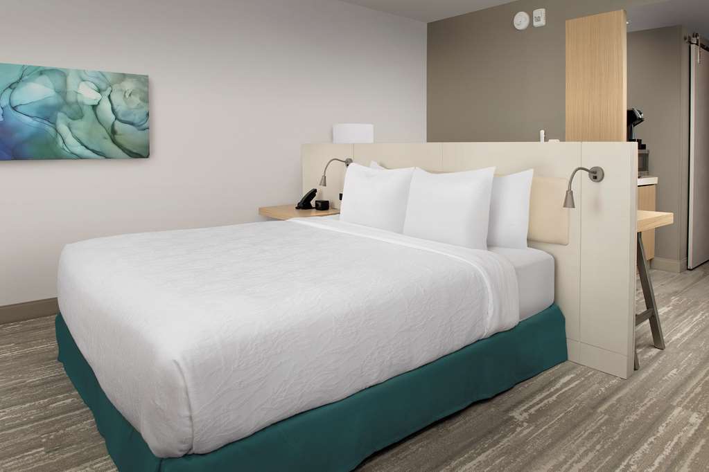 Фото Hilton Garden Inn Orlando Downtown