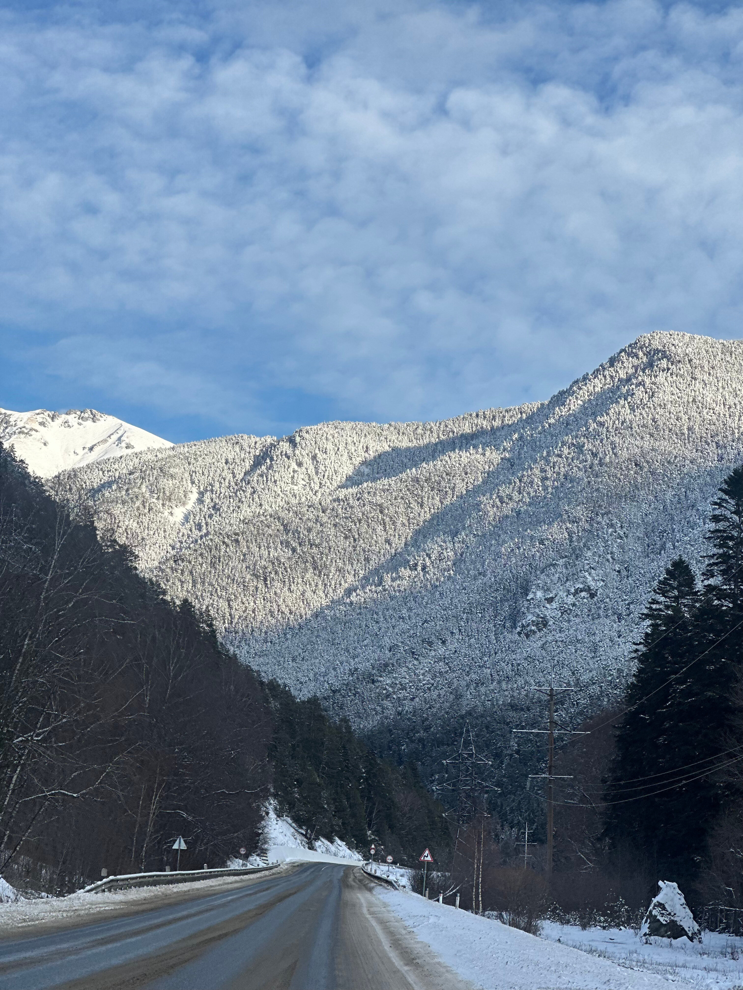 Фото Дух леса