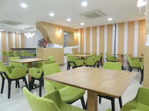 Гостиница Akcayhan Hotel в Эдремите