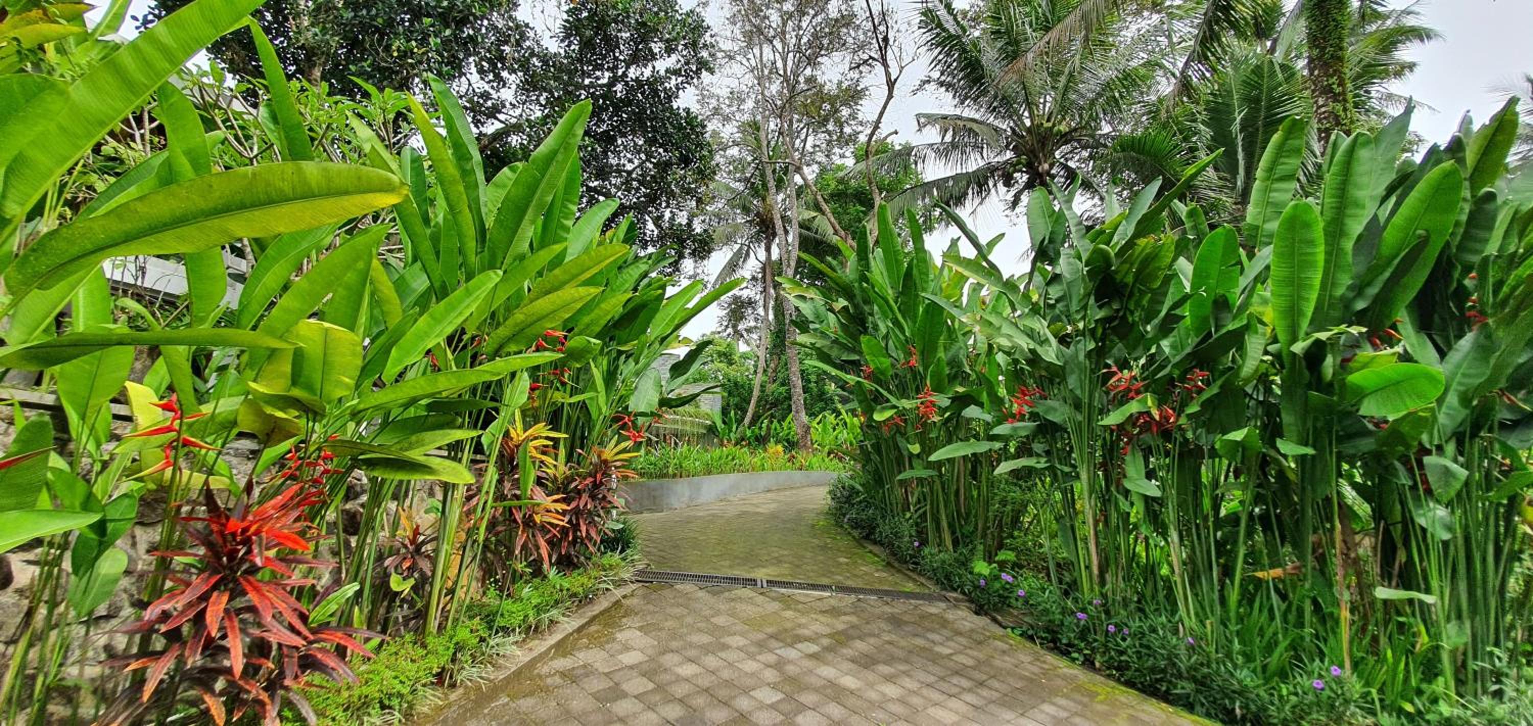 Фото Cahaya Indah Villas Ubud