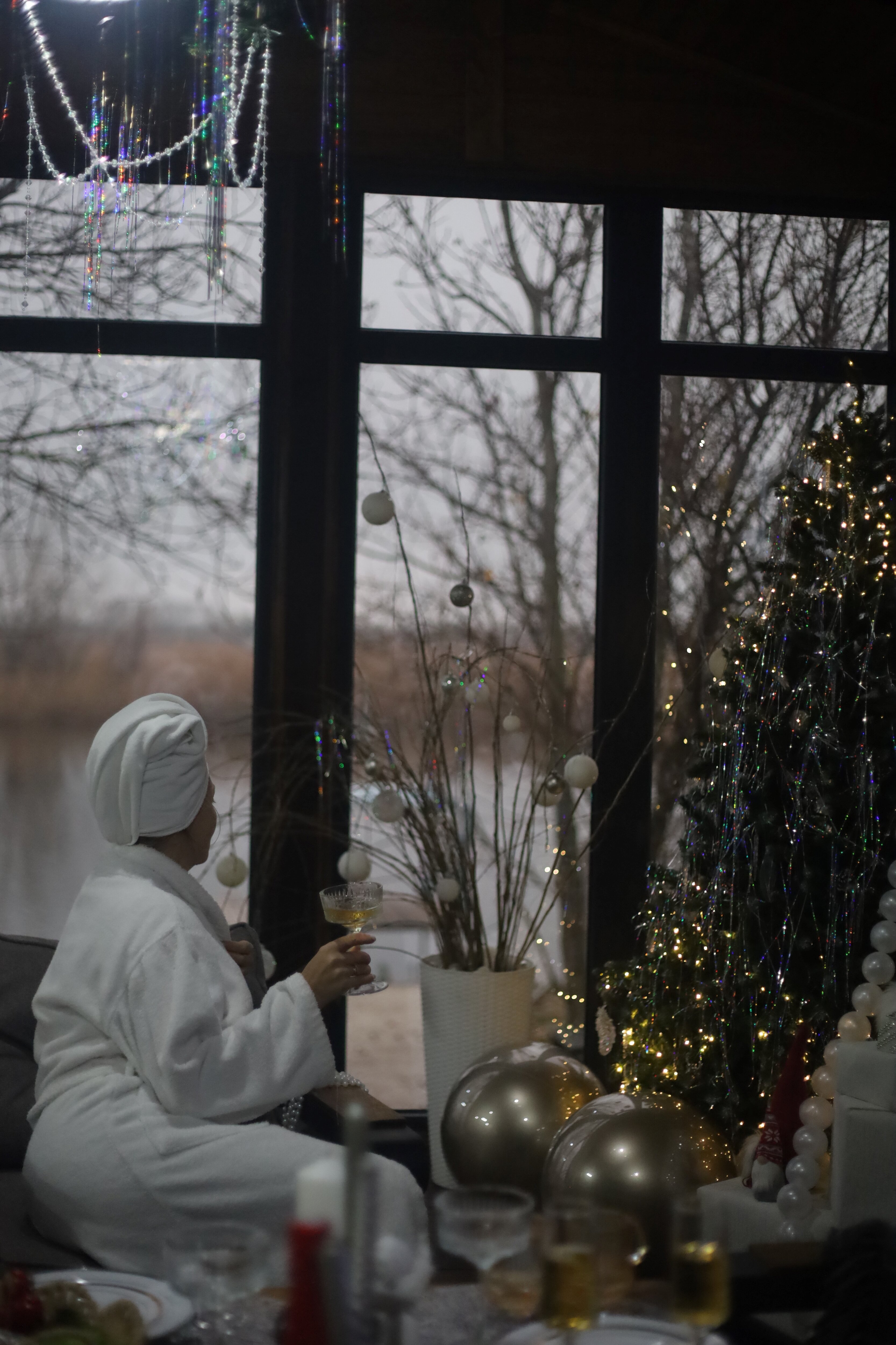 Фото Elephant Homd