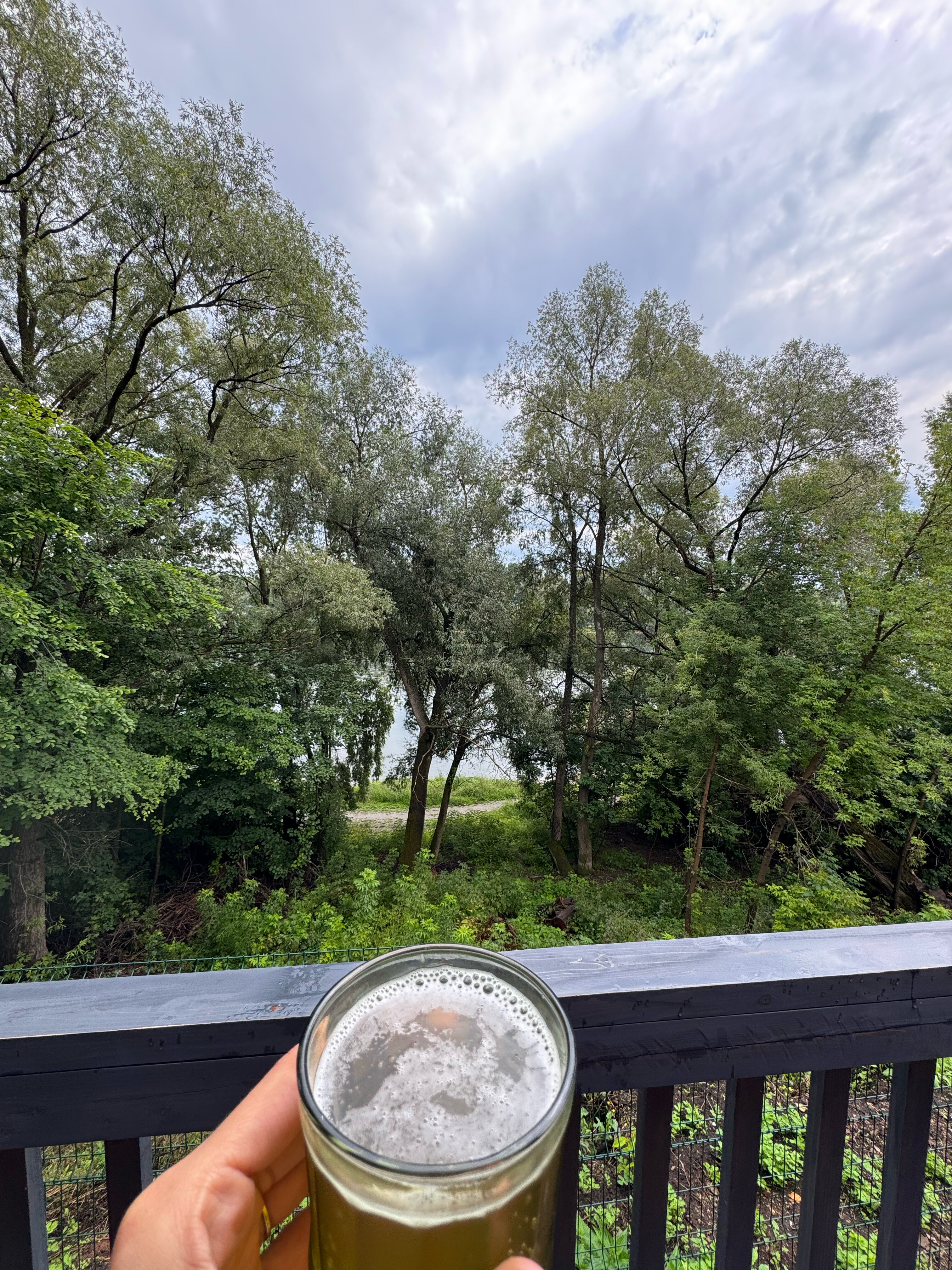 Фото Лесная Резиденция