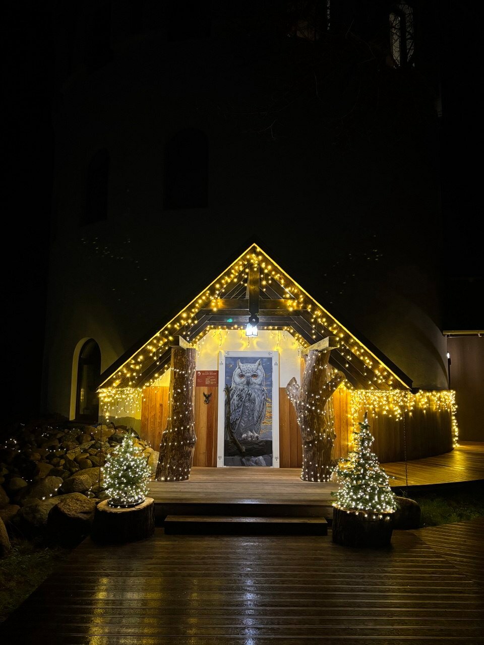 Фото Белый филин