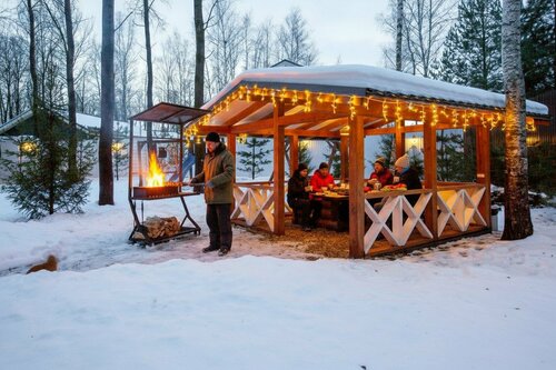 Дом в аренду Сканди хаус в Клину