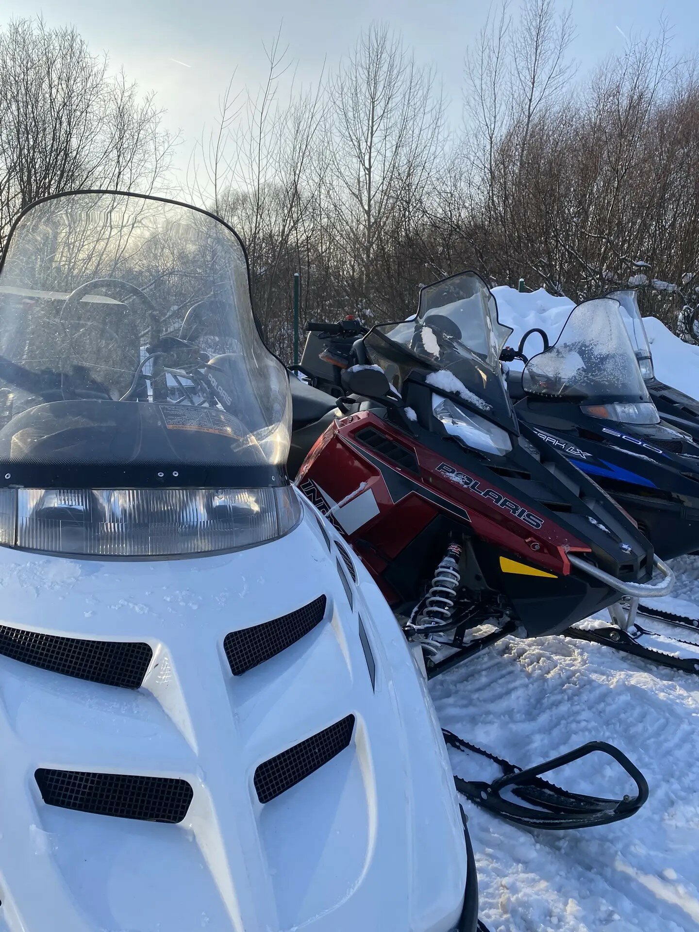 Фото Южный берег