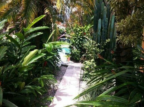 Гостиница Costa Rica Backpackers - Hostel в Провинции Сан-Хосе