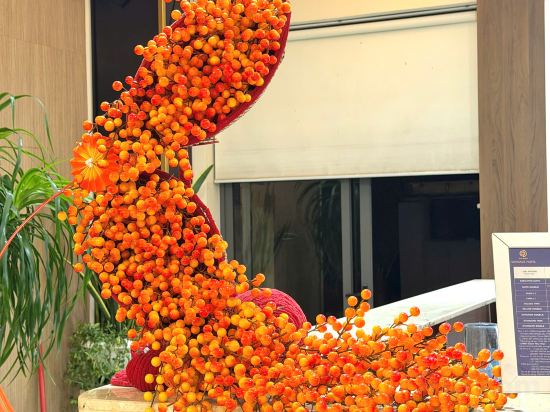 Фото Sandals Hotel