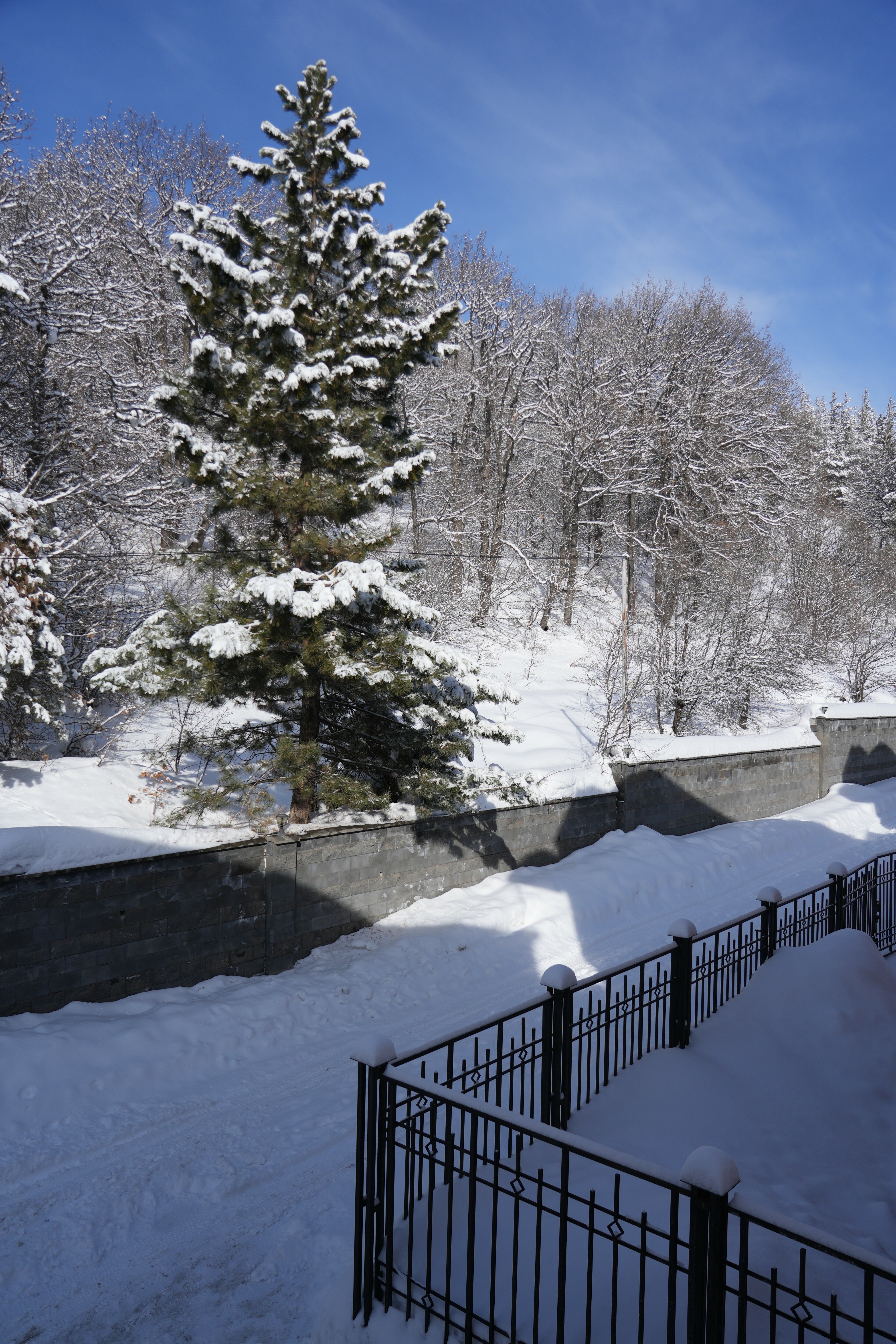 Фото 41928510505