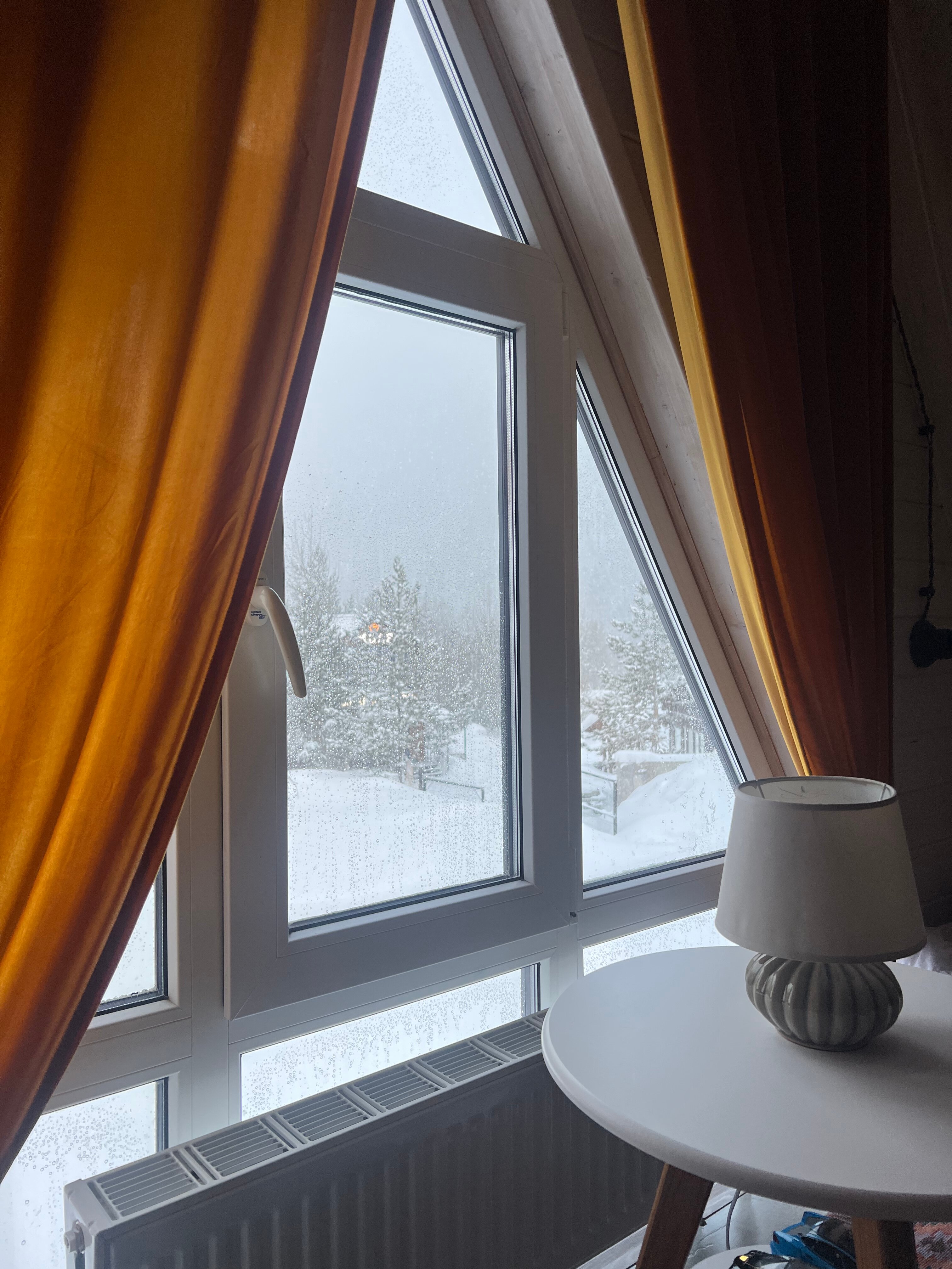 Фото Хвоя