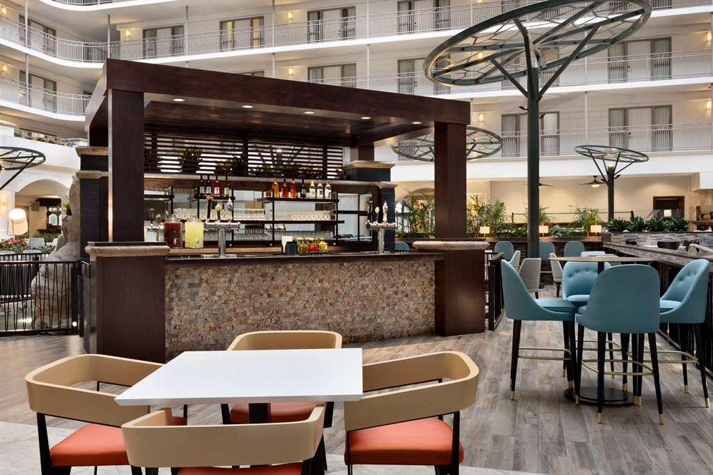 Фото Embassy Suites by Hilton Dallas Dfw Airport South