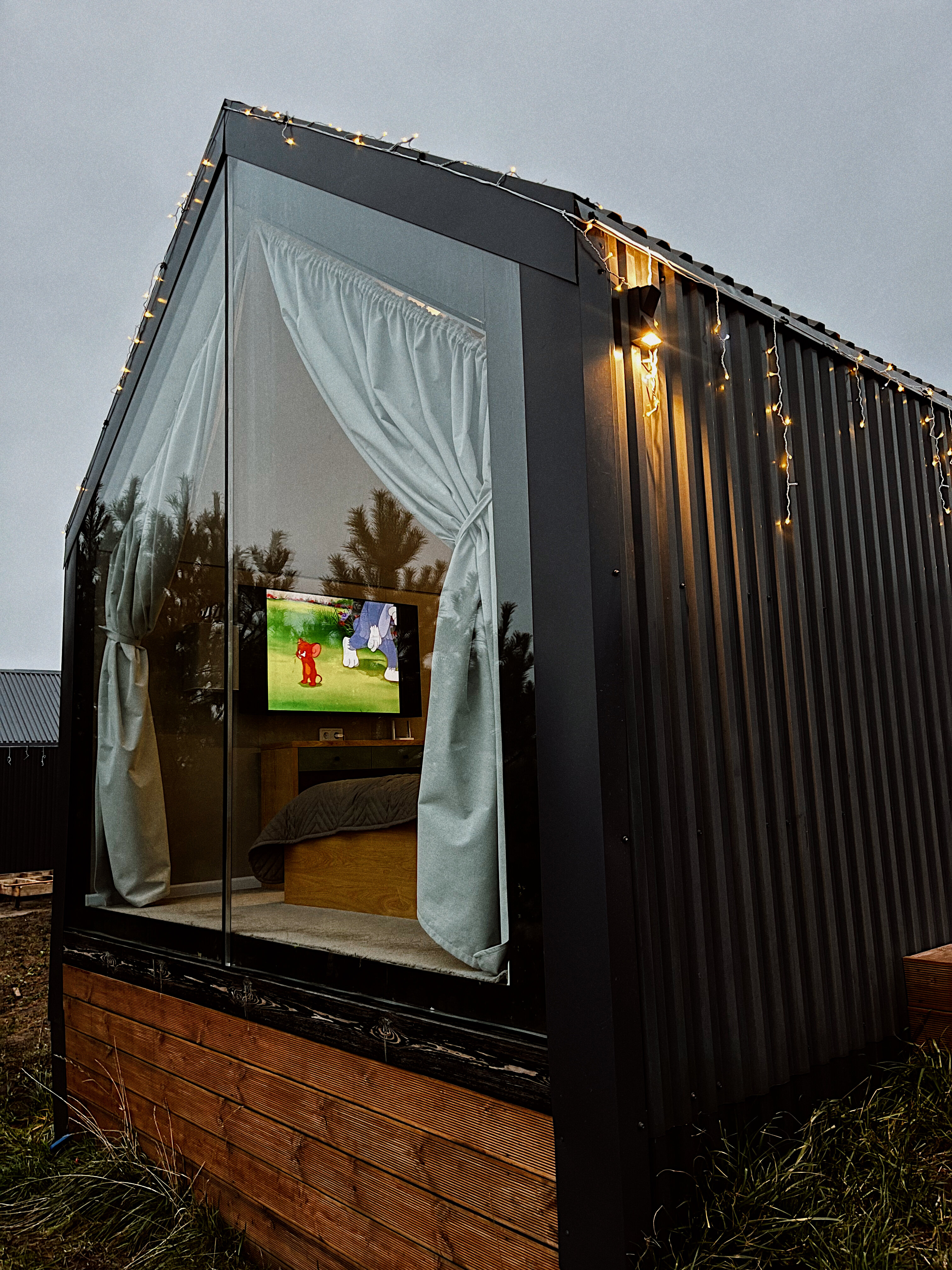 Фото Золотая Рыбка