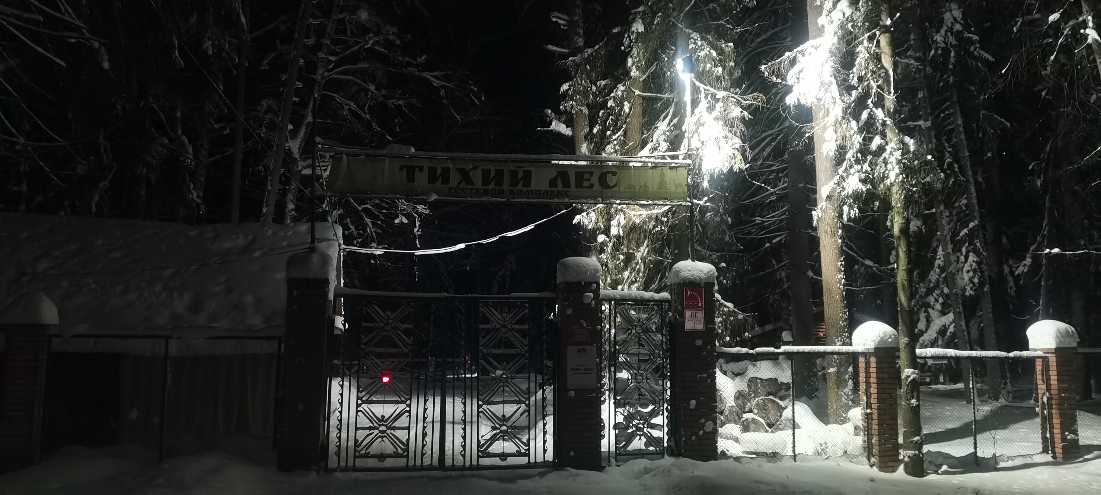 Фото Тихий Лес
