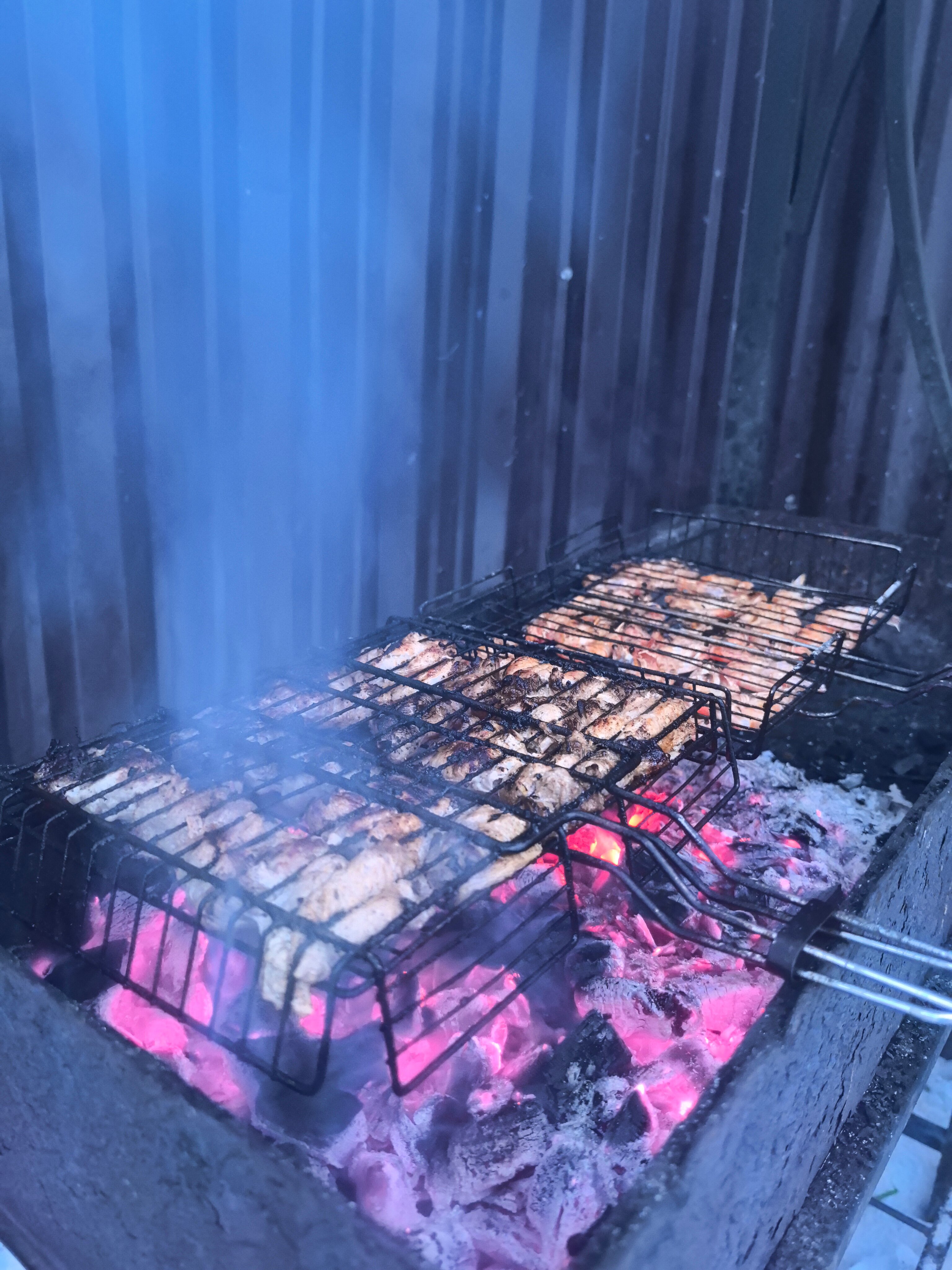 Фото Фаворит