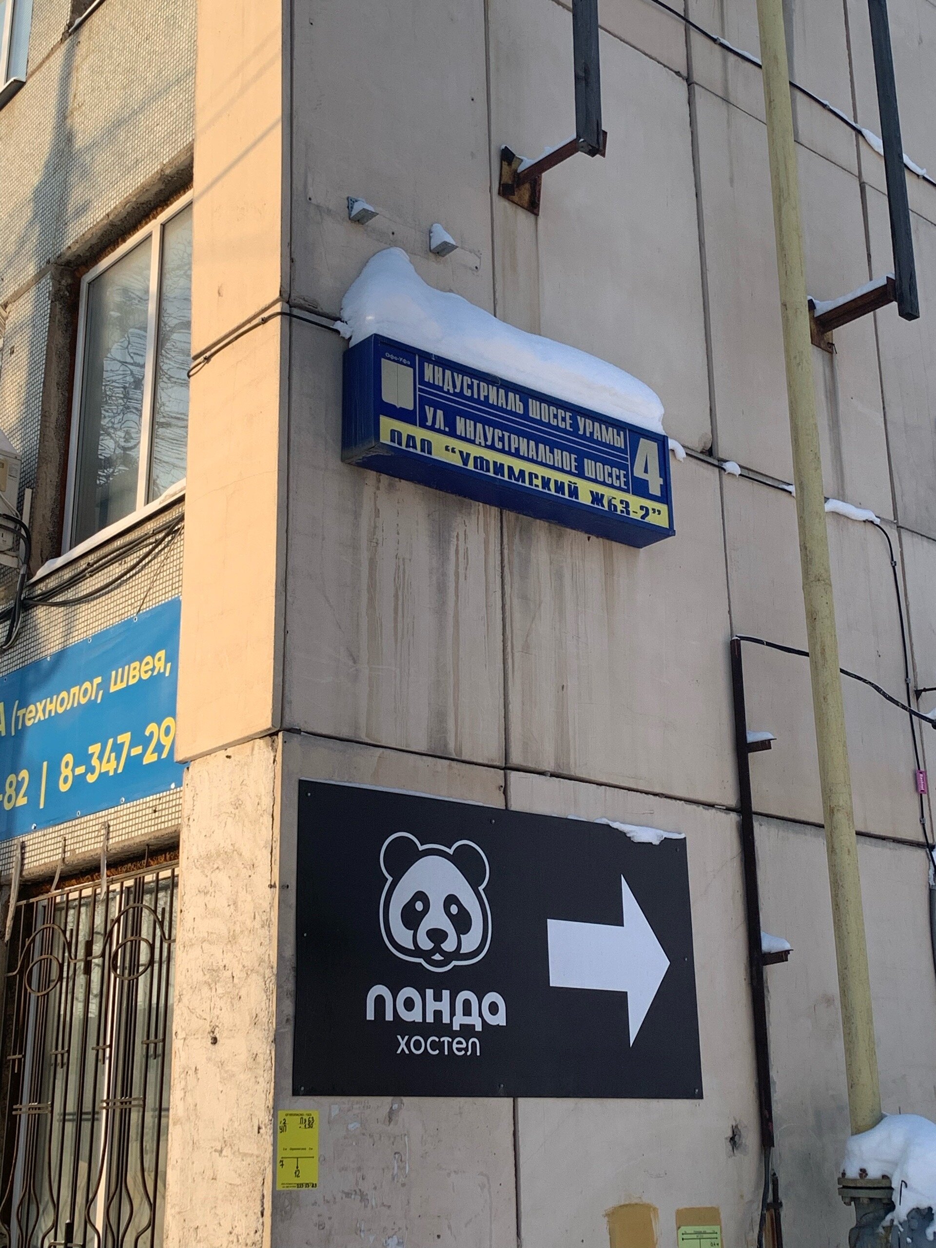 Фото Панда