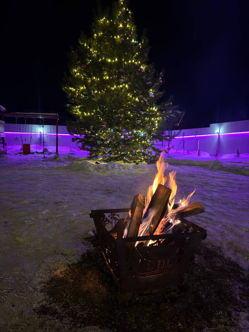 Фото Совушка