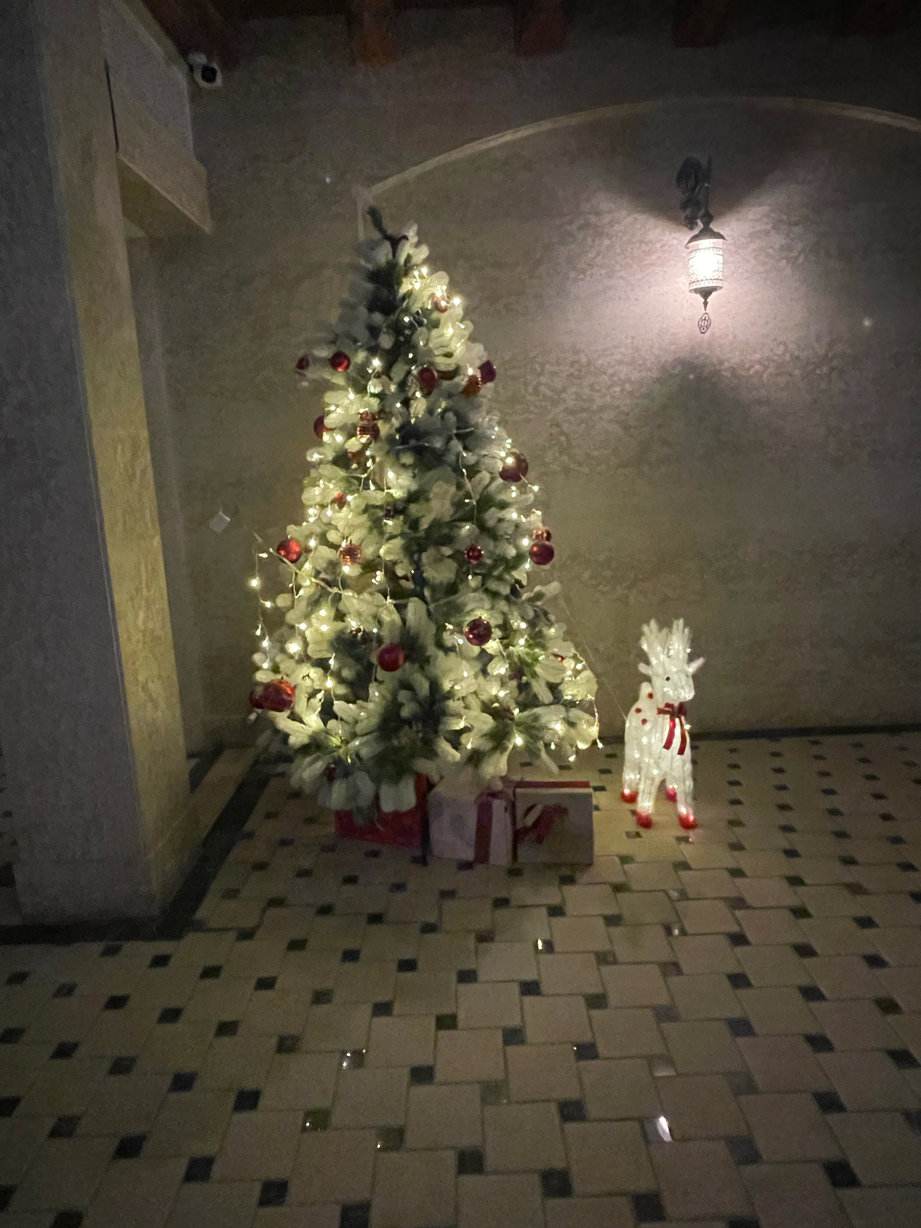 Фото Asal Boutique Hotel