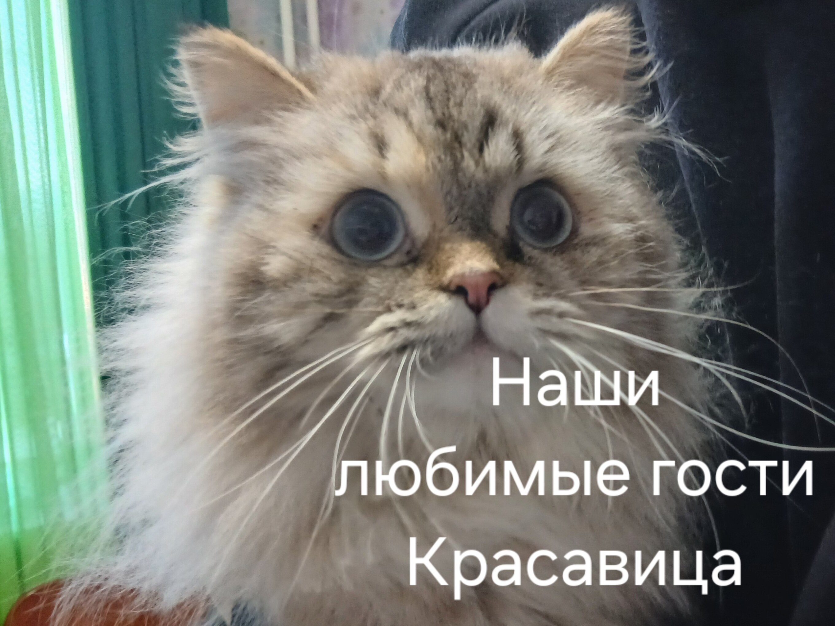 Фото Визит