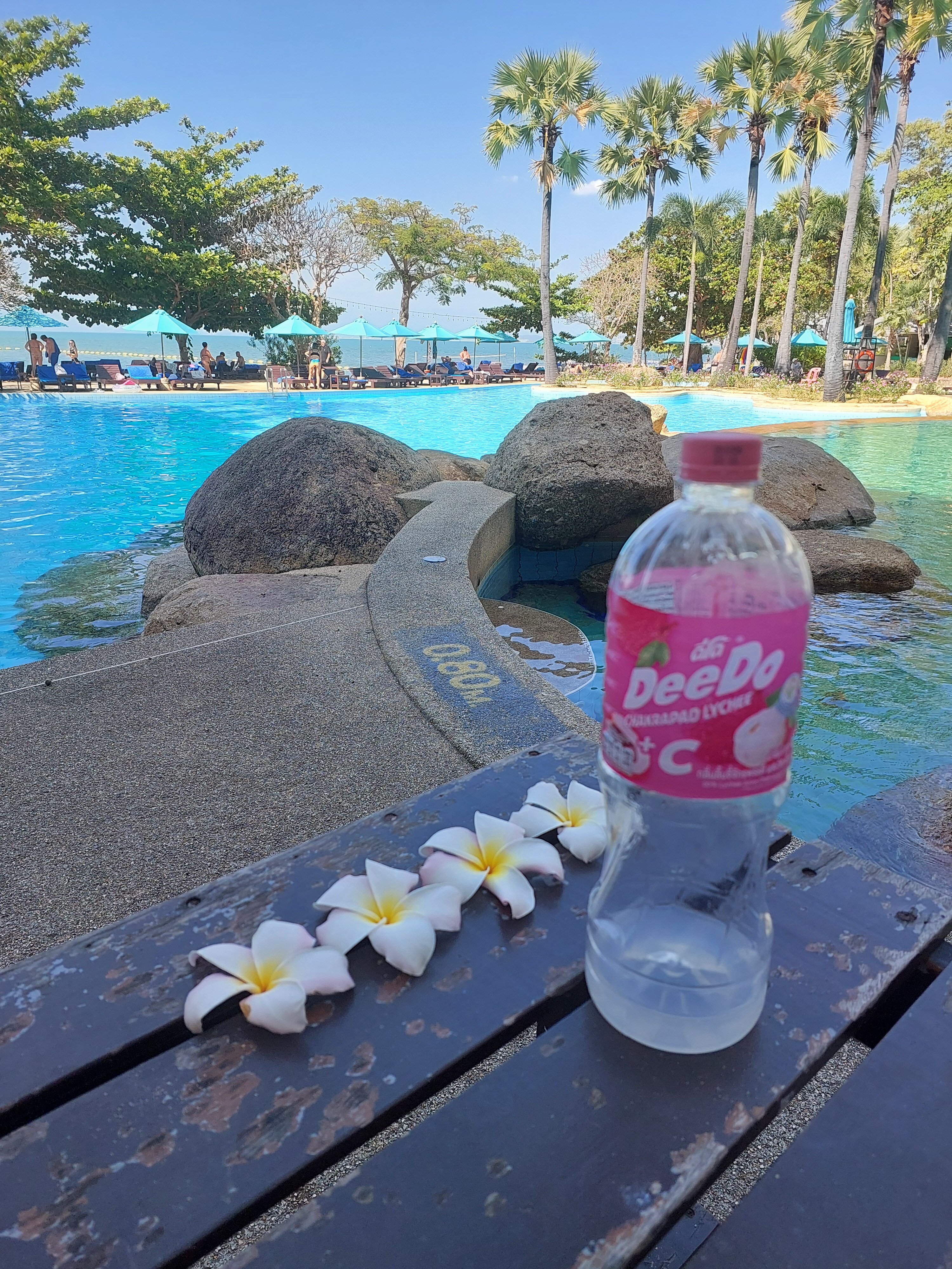 Фото Garden Sea View Resort