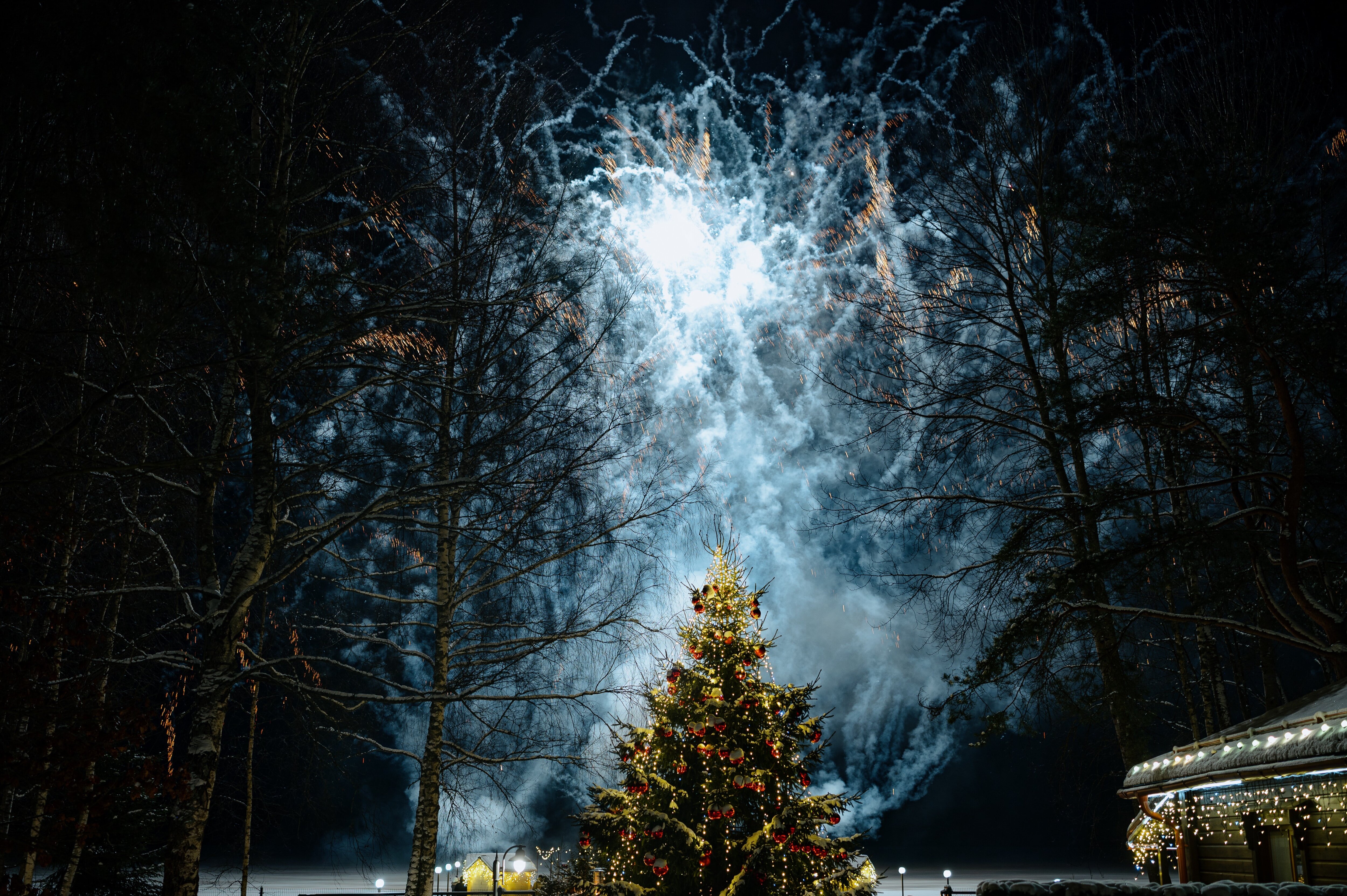 Фото Красный Бор