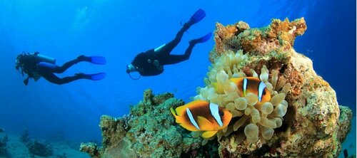 Гостиница Vakkaru Maldives на Мальдивах