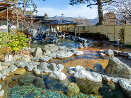 Фото Hakone Kowakien Ten-yu