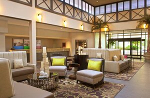 Гостиница Hilton Tampa Airport Westshore