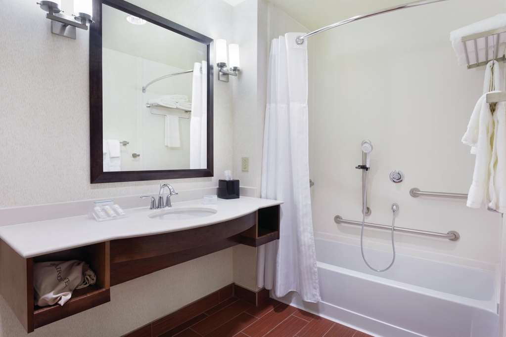 Фото Hilton Garden Inn Rochester Downtown