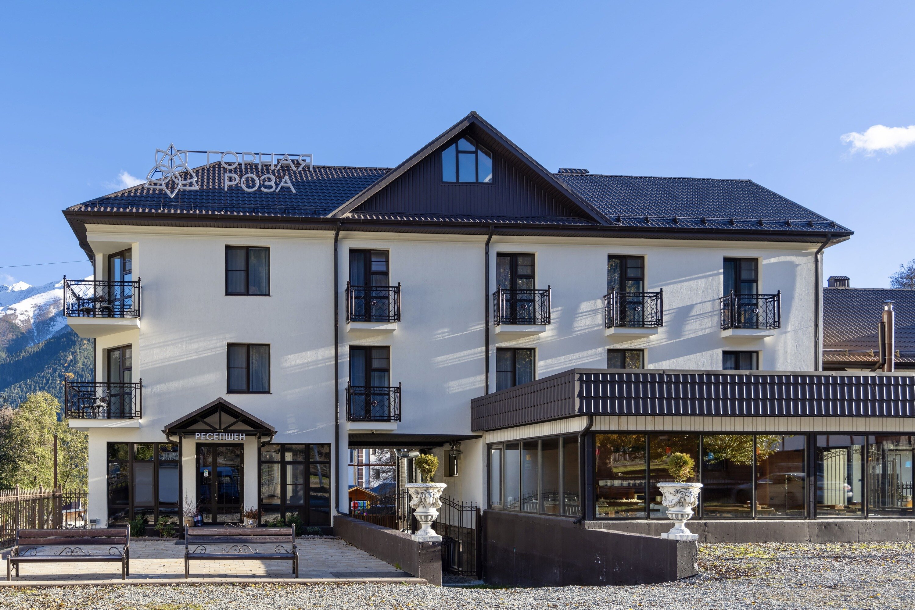 Фото Горная Роза